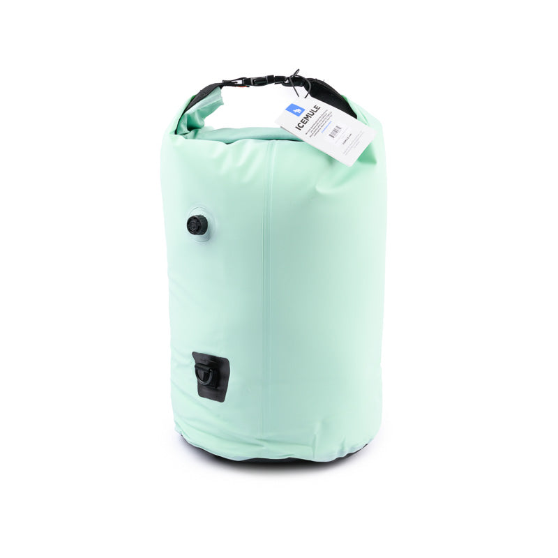 NSN ICEMULE Classic 20L Cooler - Mint